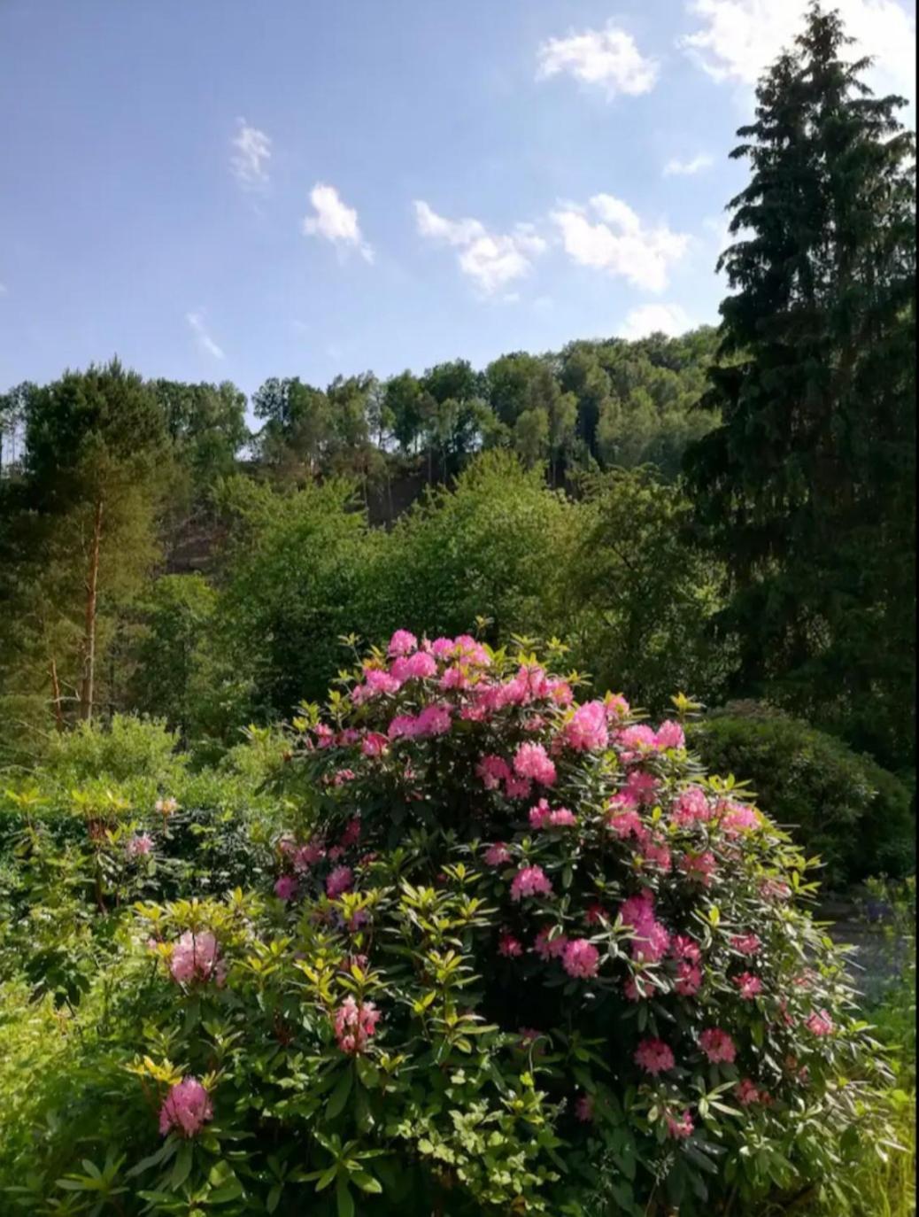 Ferienwohnung Fuer Naturfreunde Rathmannsdorf ภายนอก รูปภาพ